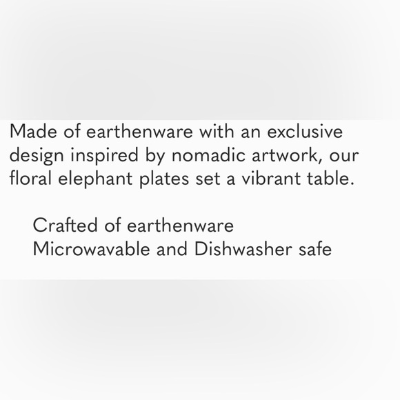 ⚠️ World Market Voyage Elephant Earthen ware plate - Picture 3 of 3